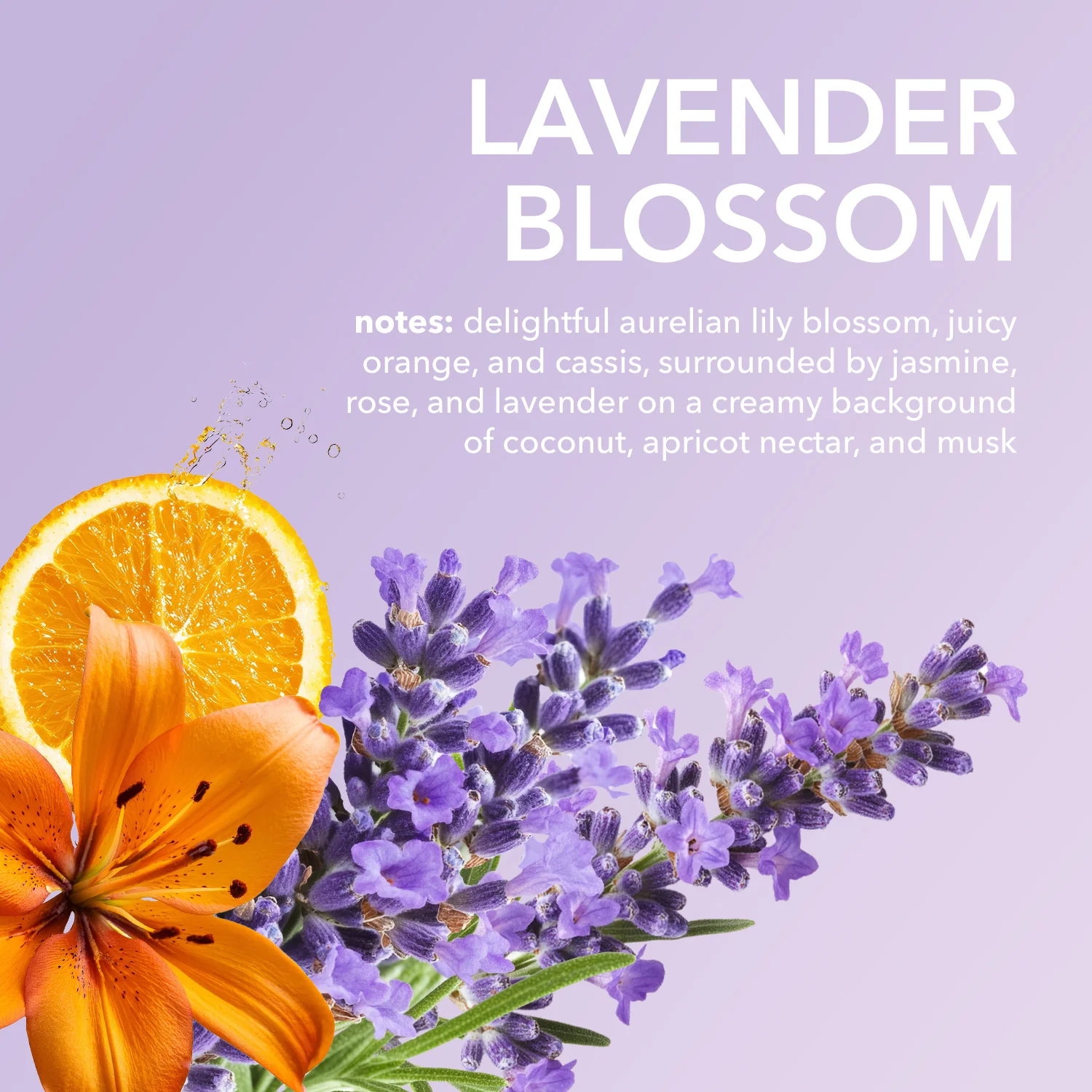 Lavender Blossom Goat Milk Body Lotion - Image 5